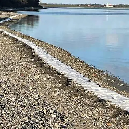 Large By The Limfjord