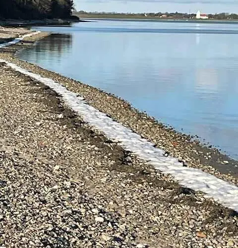 Large By The Limfjord